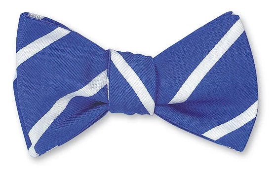 Royal Blue/White Buckingham Striped Bow Tie - B2791