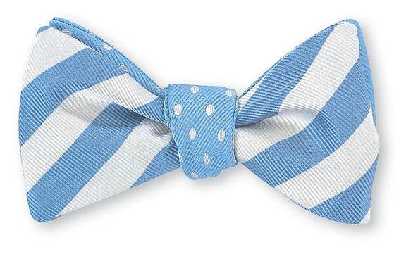 Blue/ White University Polka Dots/Stripes Bow Tie - B2386/619